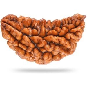 One Mukhi Super Collector Without Capping