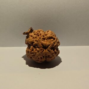4 Mukhi Ganesh