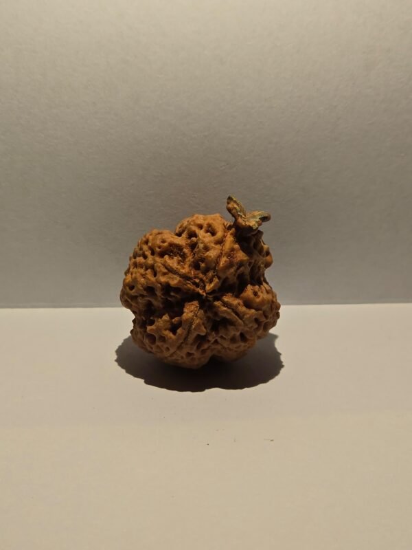 4 Mukhi Ganesh - Image 2