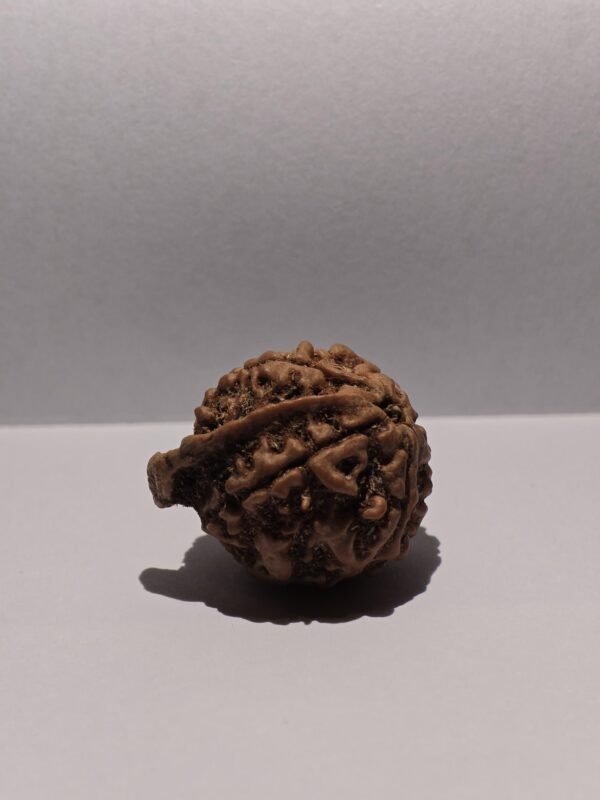 5 Mukhi Ganesh - Image 2
