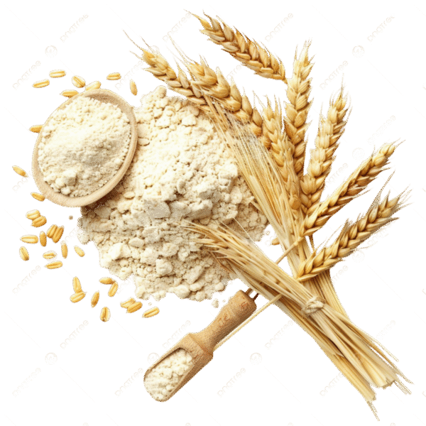 Barley Flour