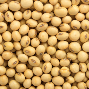 Soyabean (White/Brown)