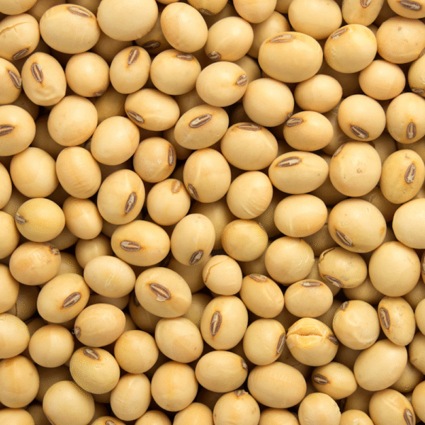 Soyabean (White/Brown)